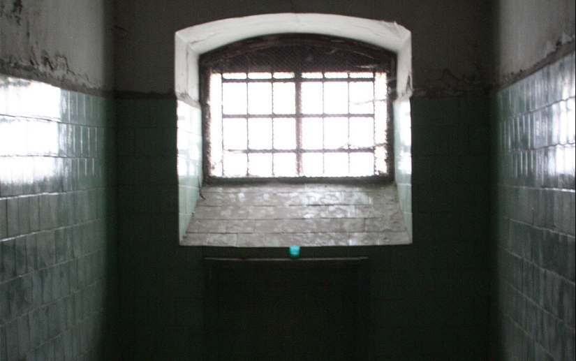 Bella Borodkin-execute, can not be pardoned Bella Borodkin-execute, can not be pardoned