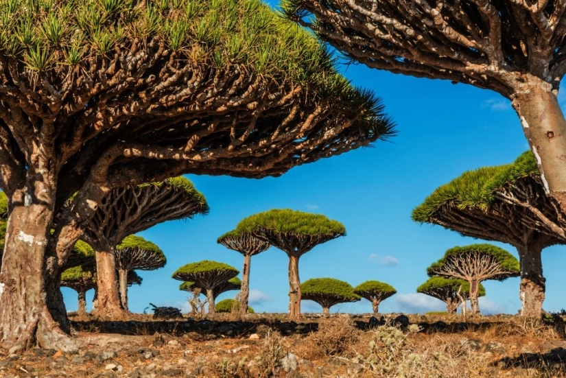 Best artist — nature: fabulous beautiful places in different parts of the world Best artist — nature: fabulous beautiful places in different parts of the world