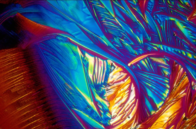 BevShots: Abstracción en un vaso