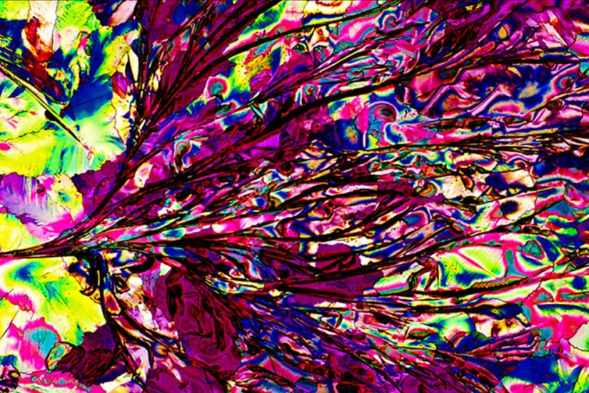 BevShots: Abstracción en un vaso