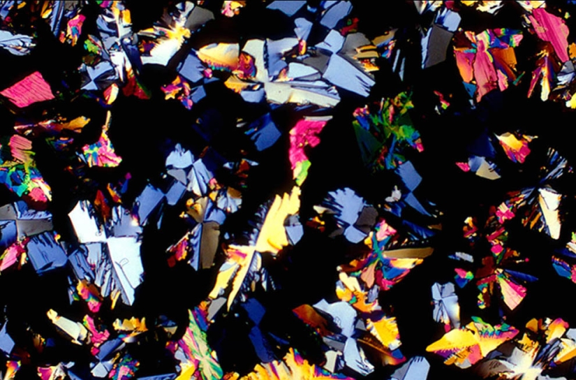 BevShots: Abstracción en un vaso