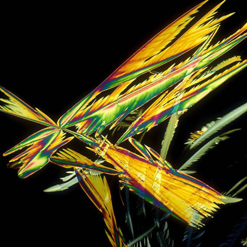 BevShots: Abstracción en un vaso