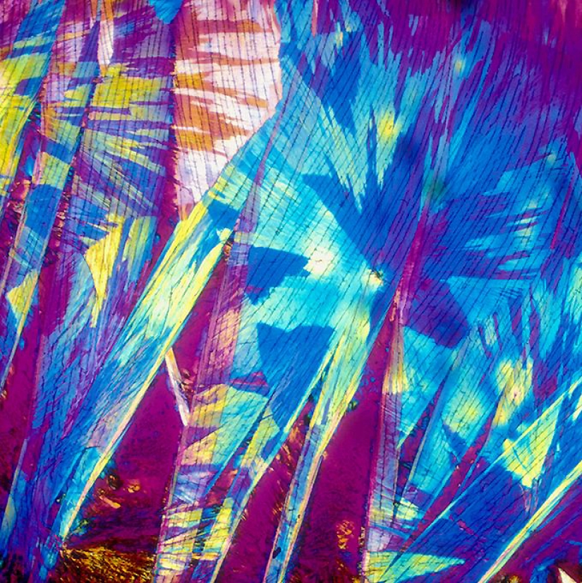 BevShots: Abstracción en un vaso