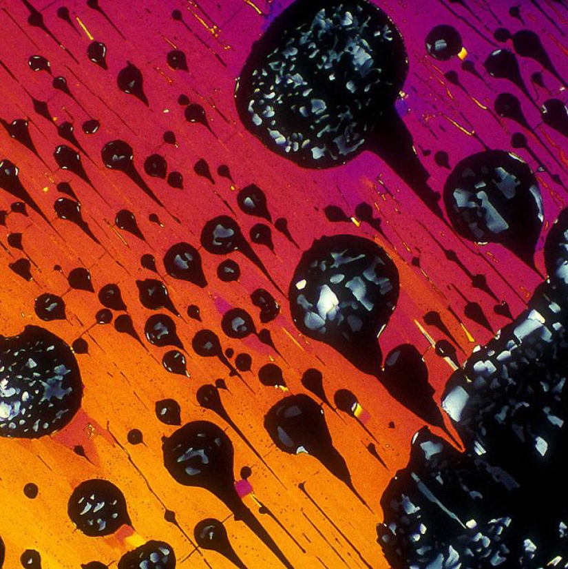 BevShots: Abstracción en un vaso