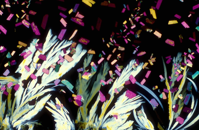 BevShots: Abstracción en un vaso