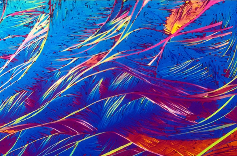 BevShots: Abstracción en un vaso