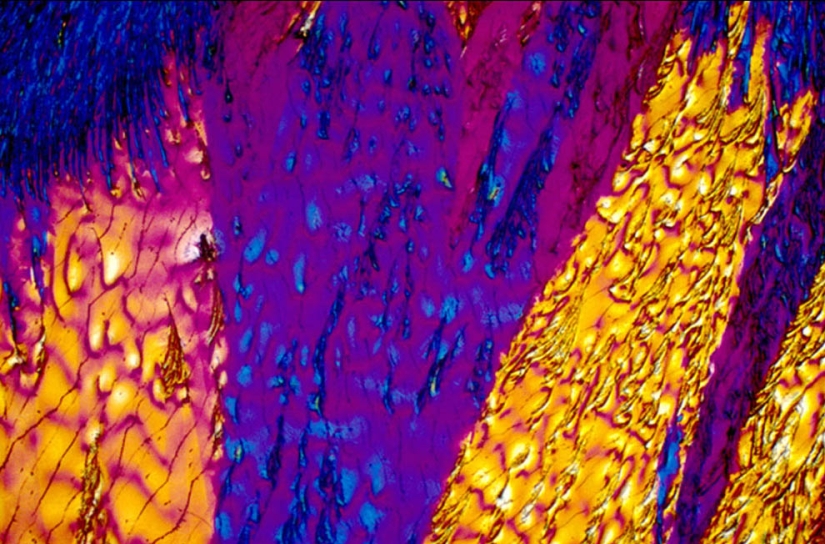 BevShots: Abstracción en un vaso