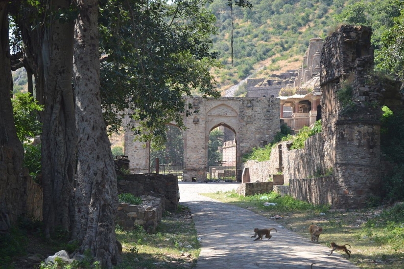 Bhangarh es una ciudad fantasma maldita en la India a la que no se puede ir de noche. Bhangarh es una ciudad fantasma maldita en la India a la que no se puede ir de noche.