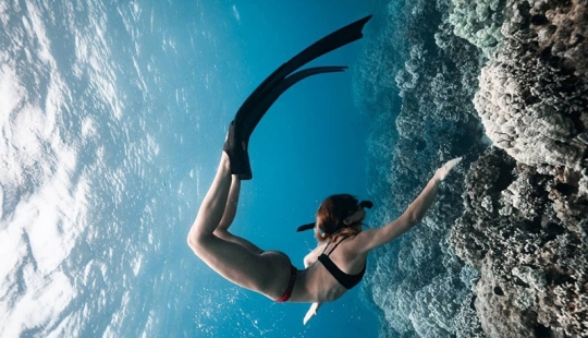 "Big and blue Ocean": a freediver photographer showed an amazing series of underwater shots "Big and blue Ocean": a freediver photographer showed an amazing series of underwater shots