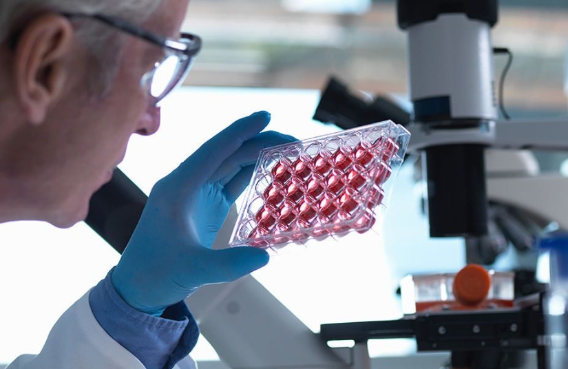 Biologists have learned how to rejuvenate cells for 30 years