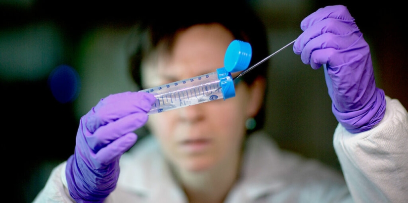 Biologists have learned how to rejuvenate cells for 30 years