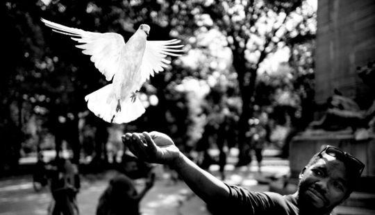 Black and white street photography by eminent masters of street photography of Alan Schaller Black and white street photography by eminent masters of street photography of Alan Schaller