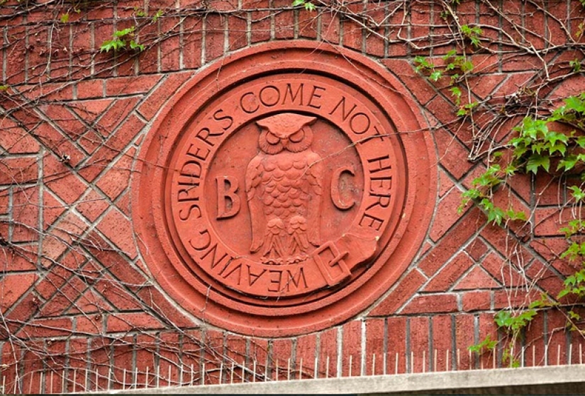 Bohemian Grove: ¿Gobierno oculto del mundo o «campamento infantil» para la élite? Bohemian Grove: ¿Gobierno oculto del mundo o «campamento infantil» para la élite?