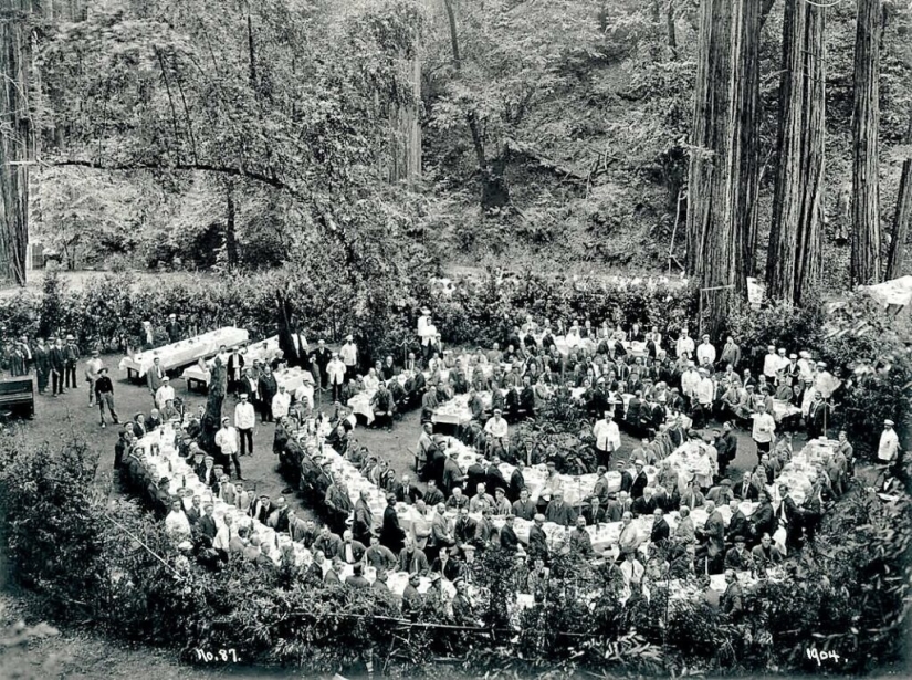 Bohemian Grove: ¿Gobierno oculto del mundo o «campamento infantil» para la élite? Bohemian Grove: ¿Gobierno oculto del mundo o «campamento infantil» para la élite?