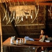 Bosquimanos — la última batalla por el primer pueblo de Sudáfrica