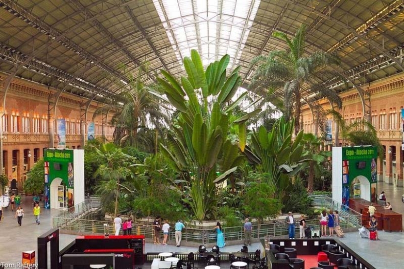 Botanical Garden at the Atocha Train Station in Madrid
