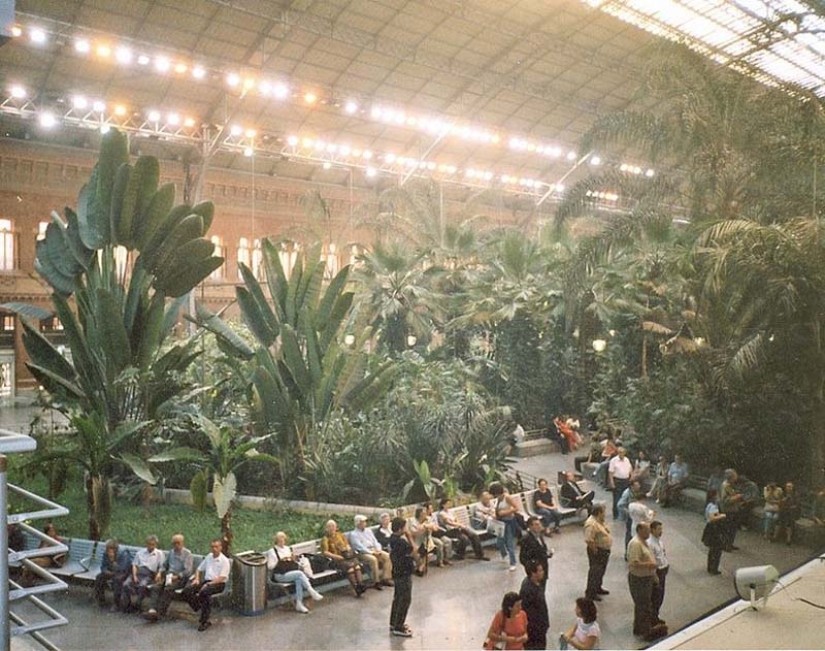 Botanical Garden at the Atocha Train Station in Madrid