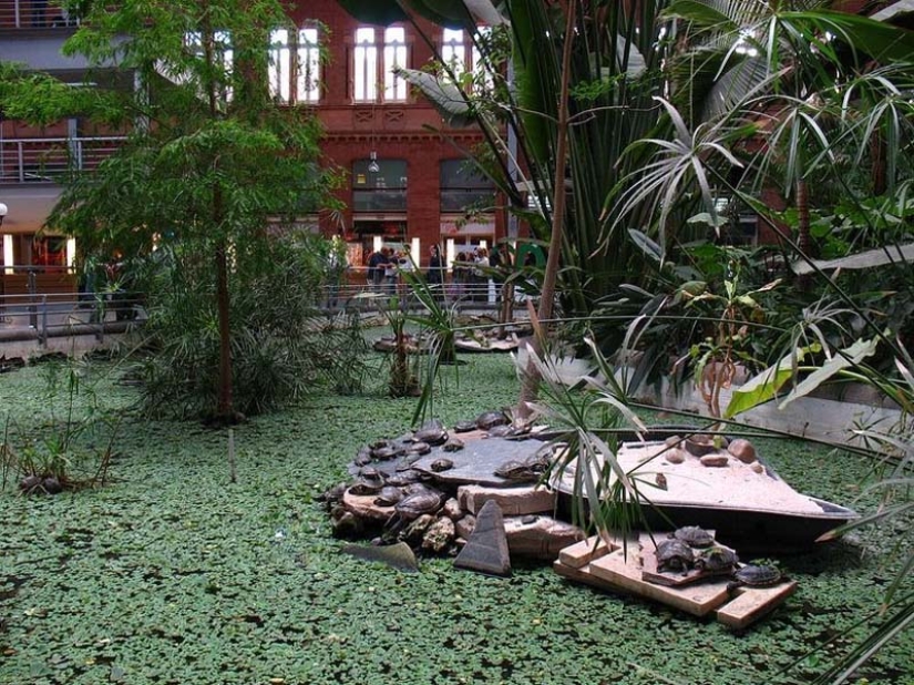Botanical Garden at the Atocha Train Station in Madrid
