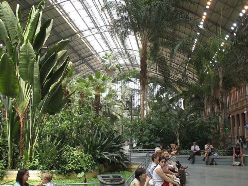 Botanical Garden at the Atocha Train Station in Madrid