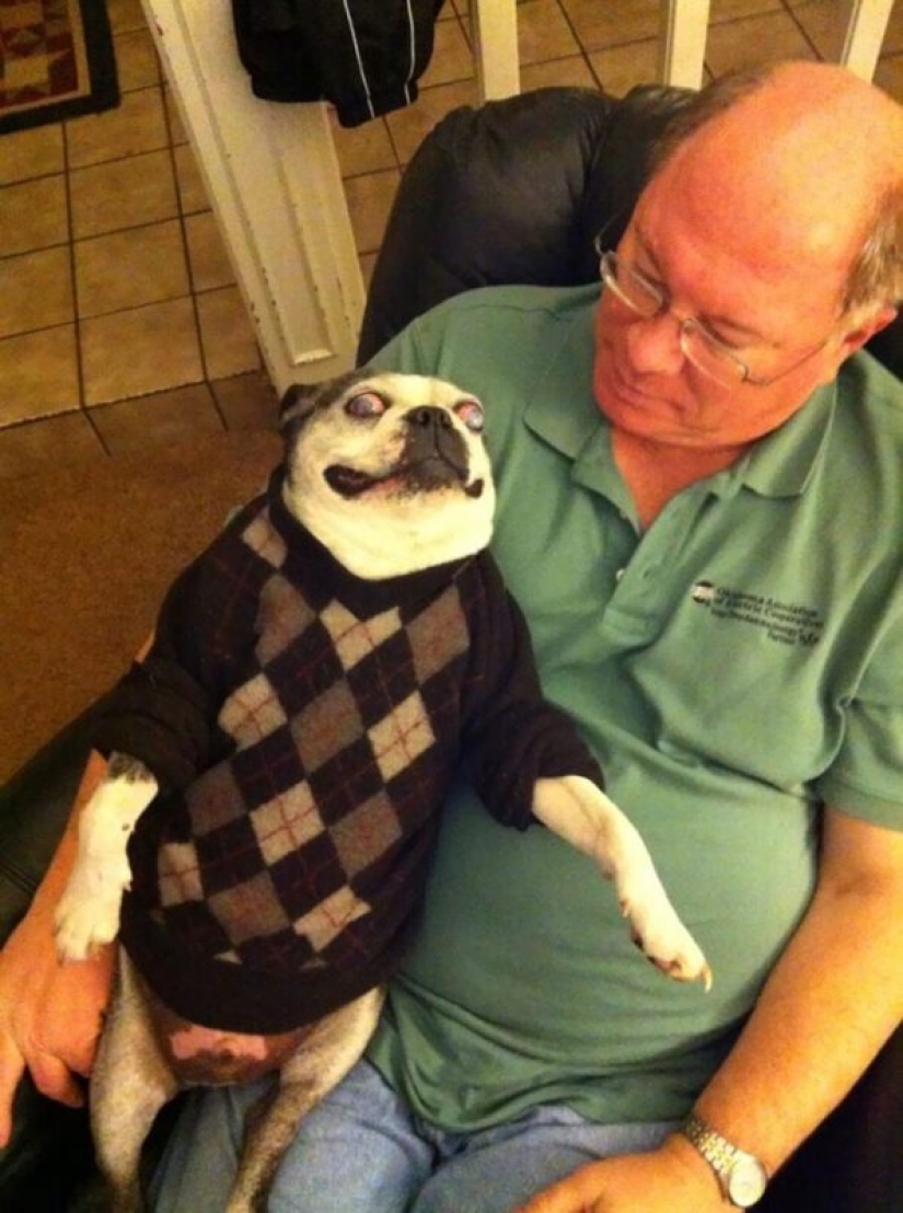 Both funny and sad: 30 curious incidents during washing Both funny and sad: 30 curious incidents during washing