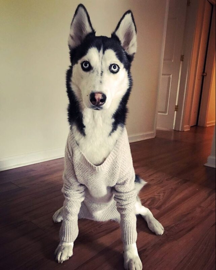 Both funny and sad: 30 curious incidents during washing Both funny and sad: 30 curious incidents during washing