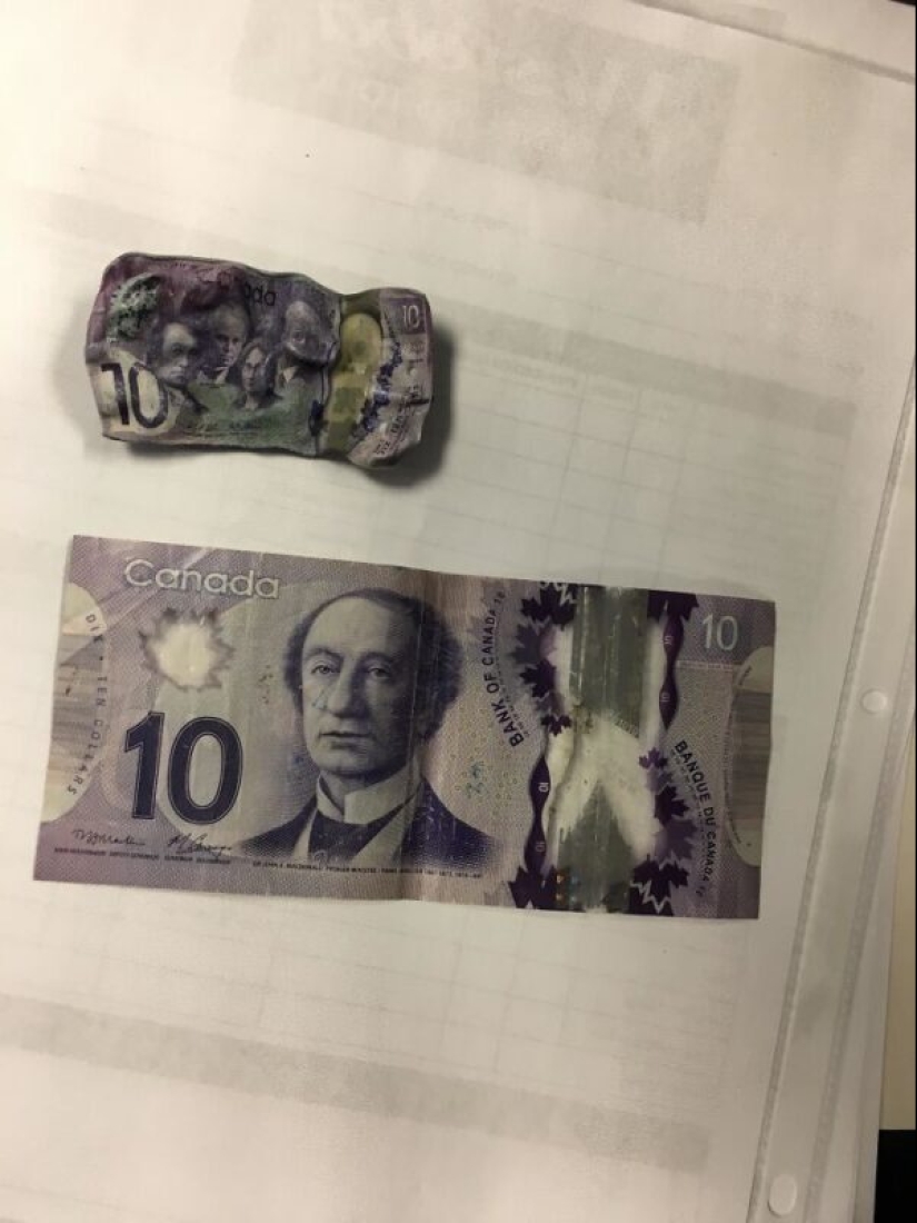 Both funny and sad: 30 curious incidents during washing Both funny and sad: 30 curious incidents during washing