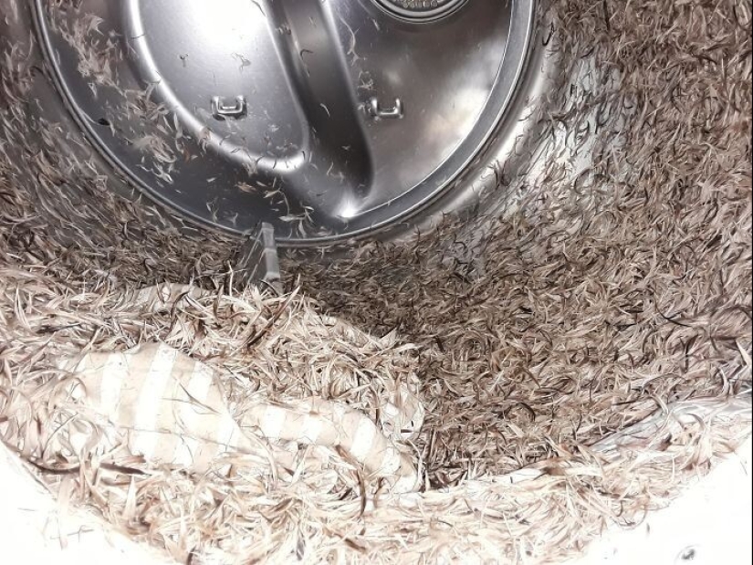 Both funny and sad: 30 curious incidents during washing Both funny and sad: 30 curious incidents during washing