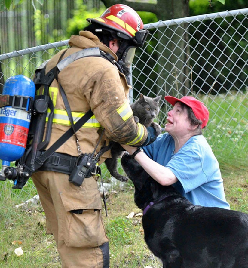 Brave firefighters who risked their lives to save animals Brave firefighters who risked their lives to save animals