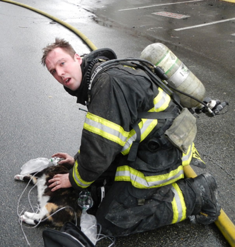 Brave firefighters who risked their lives to save animals Brave firefighters who risked their lives to save animals