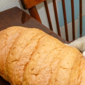 Bread-eating cats: the mystery of the unnatural predilection of pets has been revealed!
