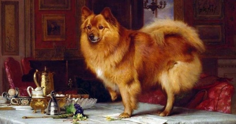 Bug Polkan and Fido: how did the most popular Russian dog names