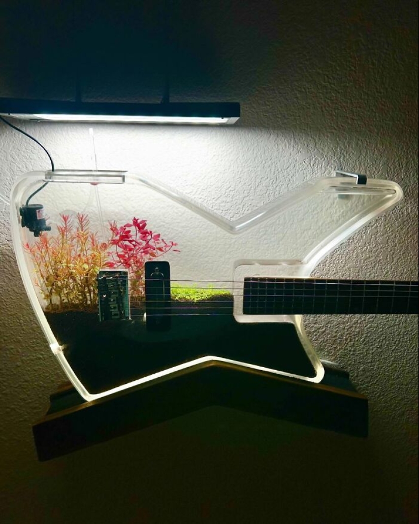 Burls Art Crafted 18 Extraordinary Guitars Using Unconventional Materials