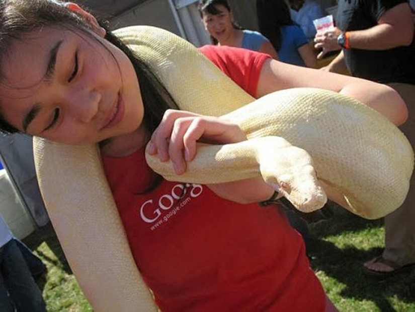 By the Day of the programmer: 5 sexiest representatives of this profession By the Day of the programmer: 5 sexiest representatives of this profession