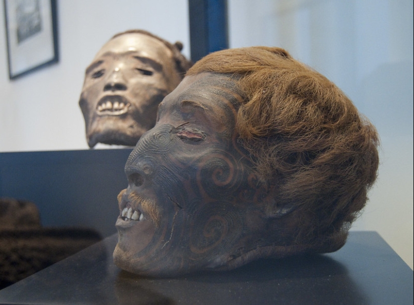 Cabezas secas de mokomokai: reliquias espeluznantes del pueblo maorí Cabezas secas de mokomokai: reliquias espeluznantes del pueblo maorí