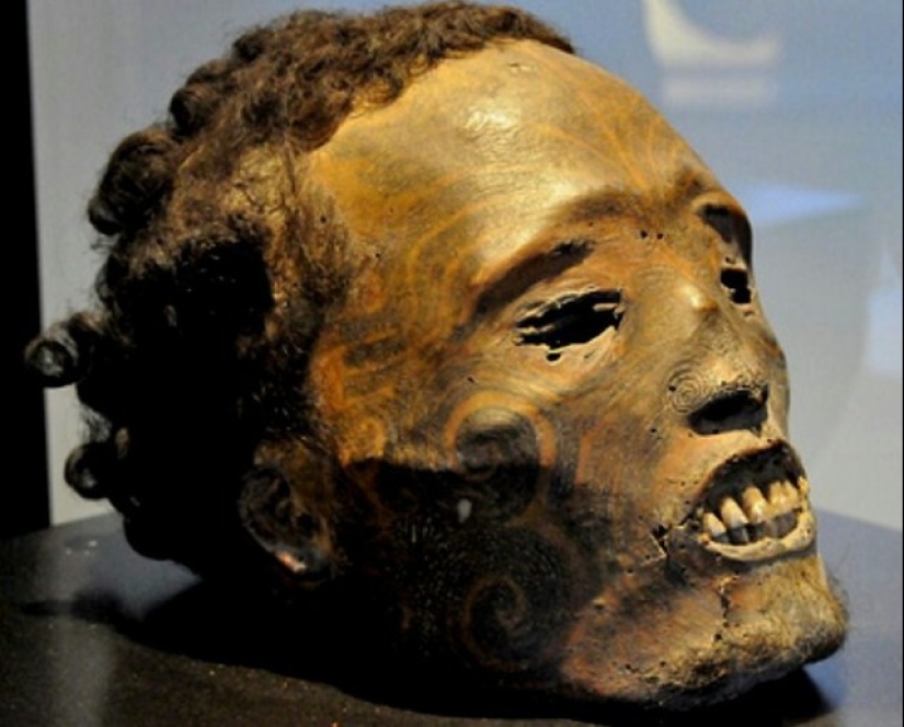 Cabezas secas de mokomokai: reliquias espeluznantes del pueblo maorí Cabezas secas de mokomokai: reliquias espeluznantes del pueblo maorí