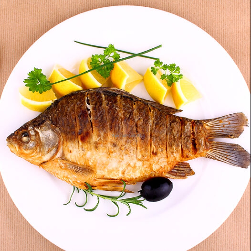 Café, cerveza, chocolate: qué productos desaparecerán con el calentamiento global Café, cerveza, chocolate: qué productos desaparecerán con el calentamiento global