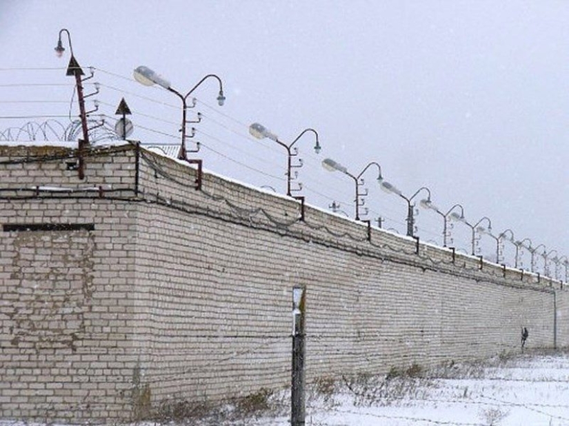 "Cannibal Sasha": la historia del caníbal de Novokuznetsk