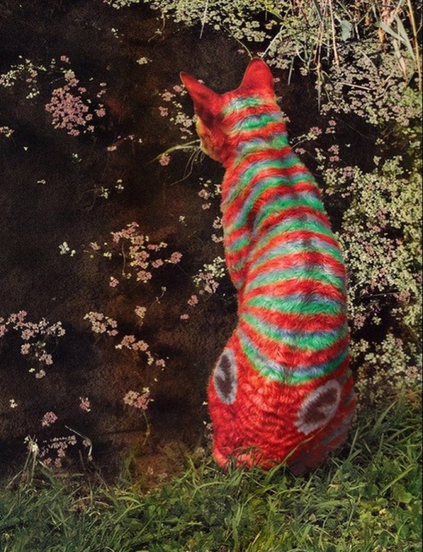 Carpenting is a form of art or animal abuse?