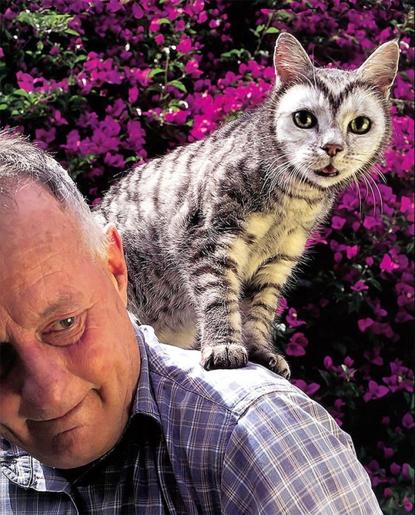 Carpenting is a form of art or animal abuse?