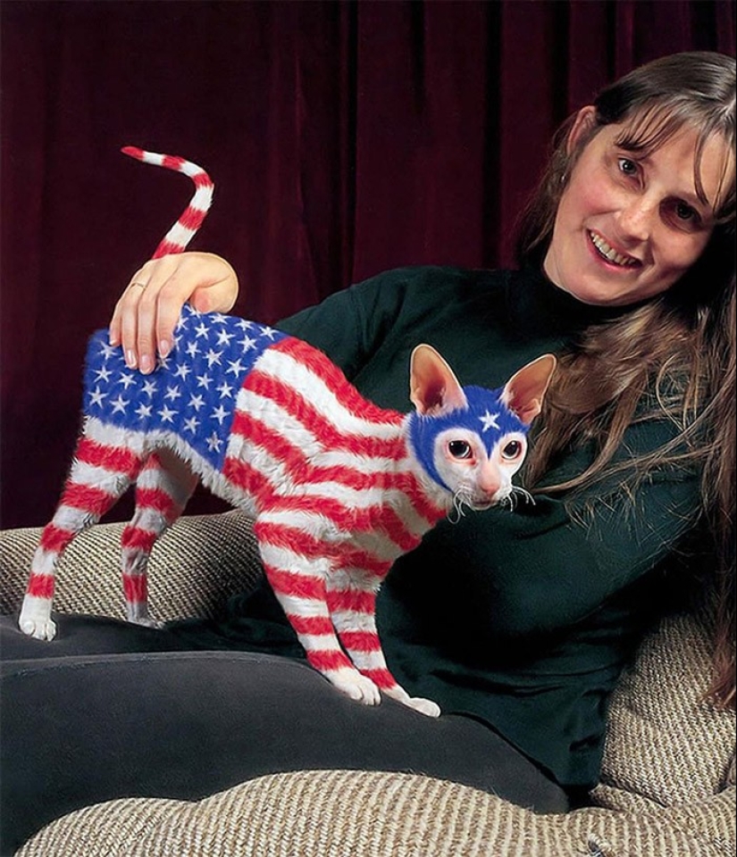 Carpenting is a form of art or animal abuse?