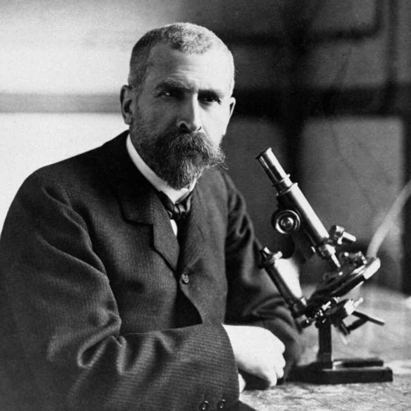 Casi una historia de detectives, o cómo la humanidad conoció el botulismo Casi una historia de detectives, o cómo la humanidad conoció el botulismo