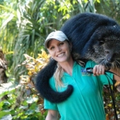 "Cat bears" binturongi — how is the strange beast smelling of popcorn