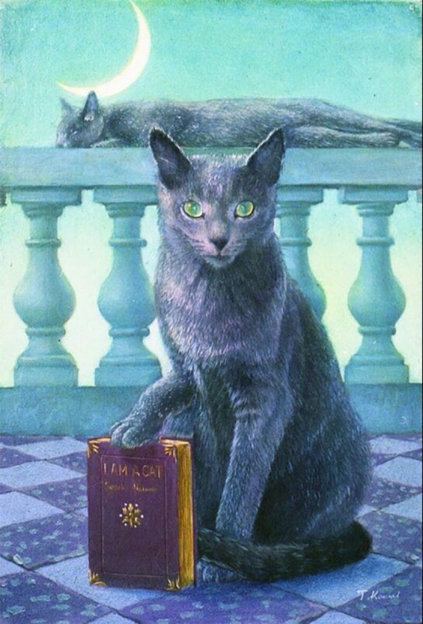 Cats are kings in the works of a talented Japanese artist, Tokujiro kawaii Cats are kings in the works of a talented Japanese artist, Tokujiro kawaii