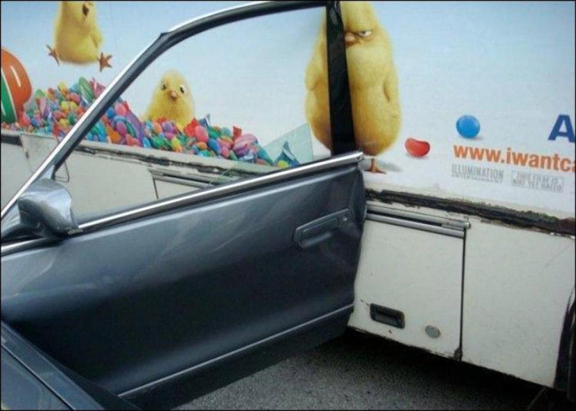 Caught: 19 incredibly successful shots