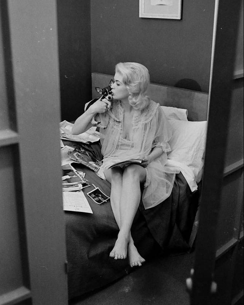 Celebridades con sus mascotas de cuatro patas Celebridades con sus mascotas de cuatro patas