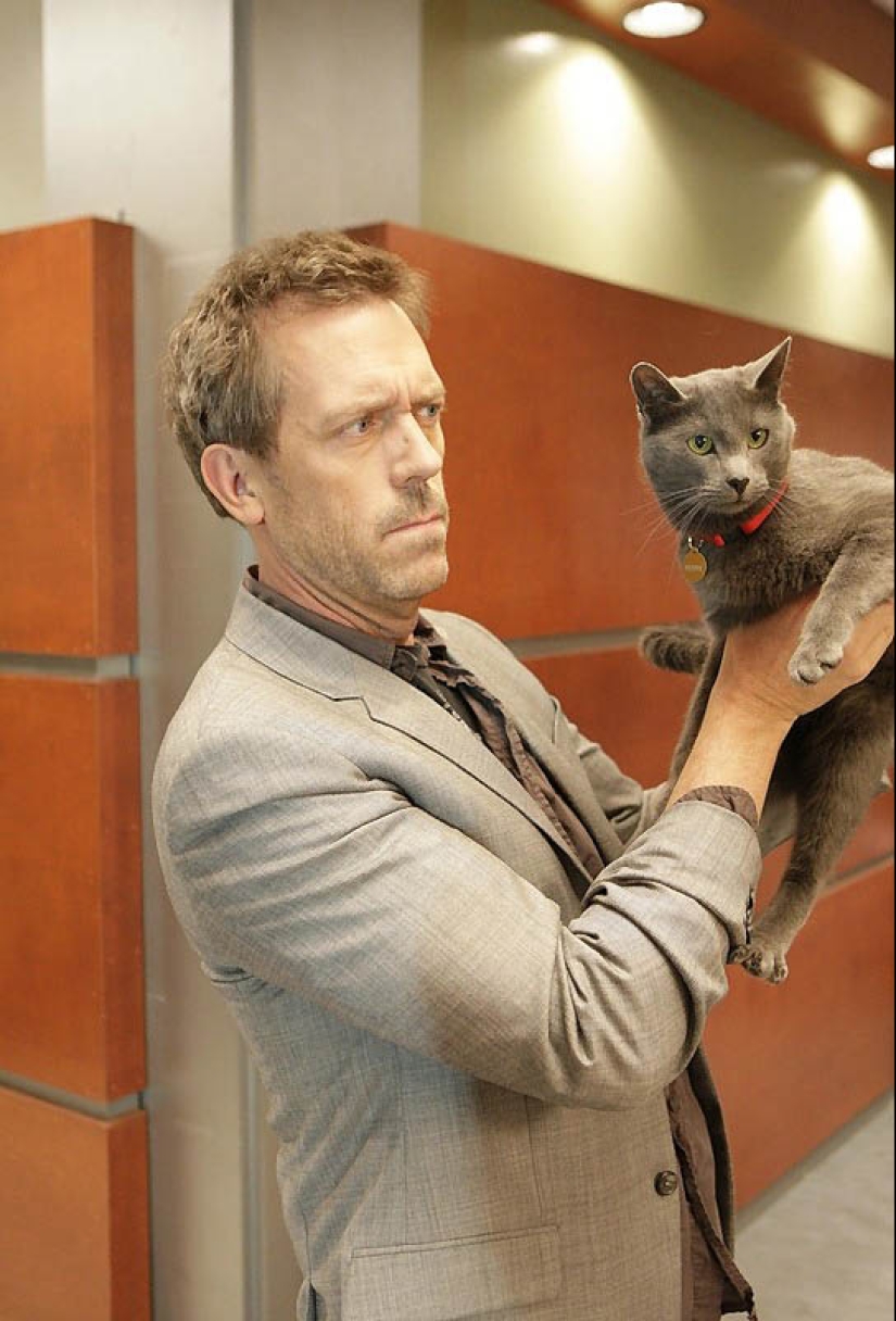 Celebridades con sus mascotas de cuatro patas Celebridades con sus mascotas de cuatro patas