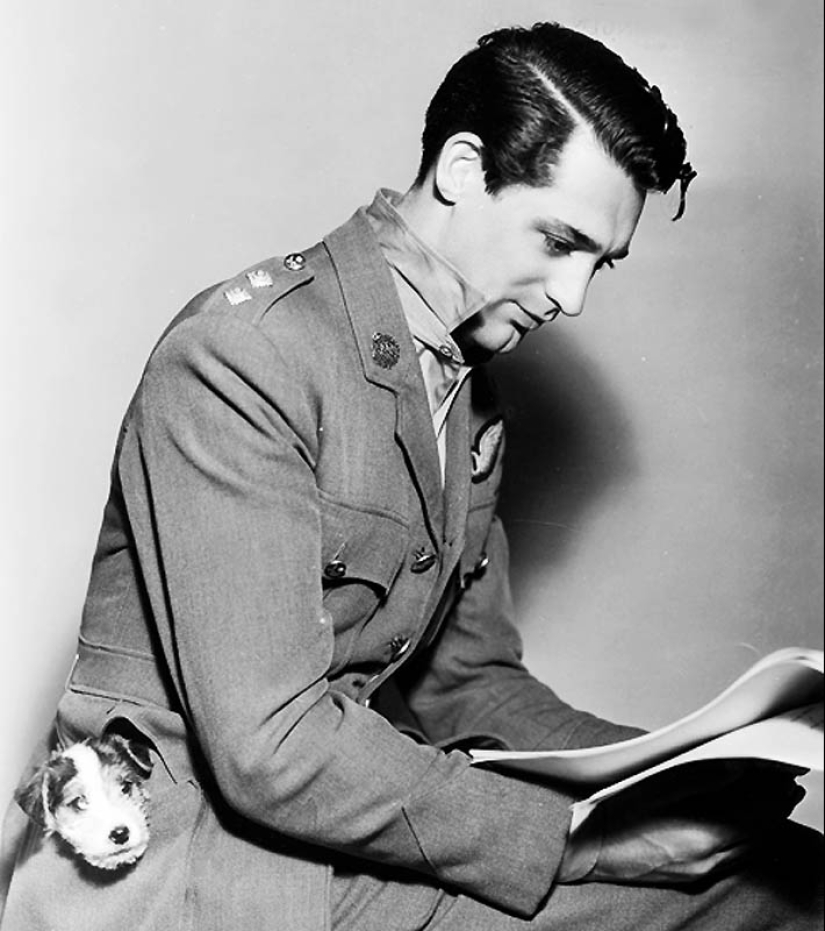 Celebrities with their four-legged pets Celebrities with their four-legged pets