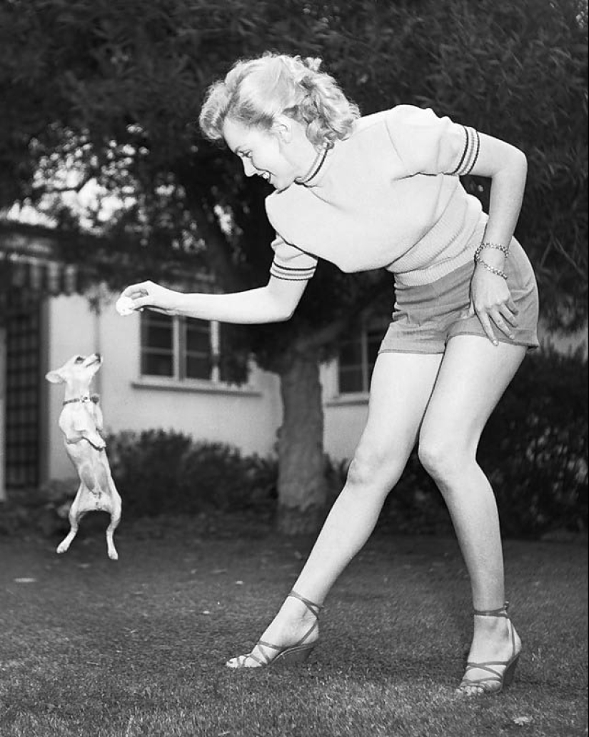 Celebrities with their four-legged pets Celebrities with their four-legged pets