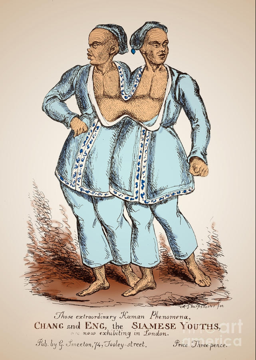 Chang and Eng Bunker: The Story of the Brothers Who Created the Concept of 'Siamese Twins' Chang and Eng Bunker: The Story of the Brothers Who Created the Concept of 'Siamese Twins'