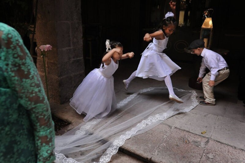 Children at the wedding: 22 funny pictures from the best wedding photographers